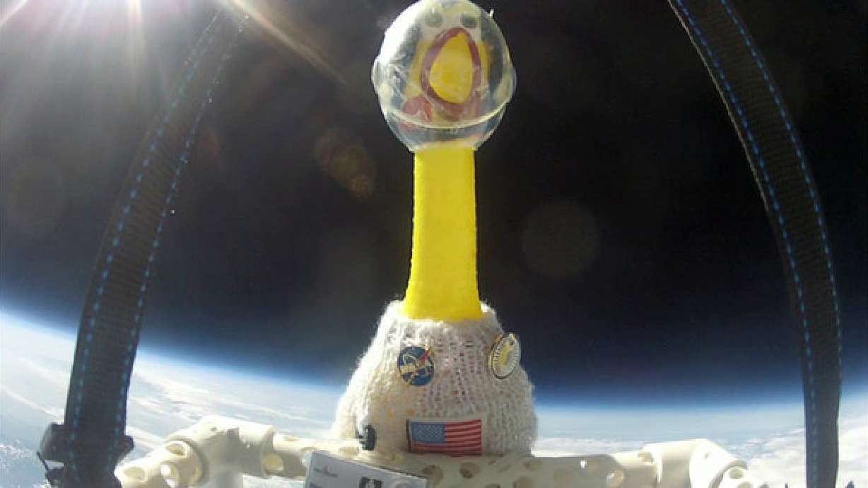 Rubber chicken finally launched into space