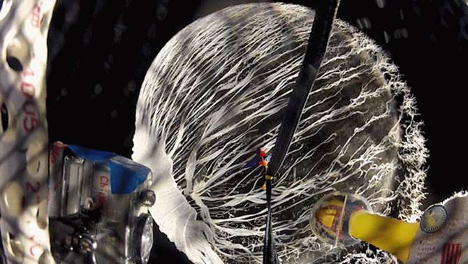 Rubber chicken finally launched into space