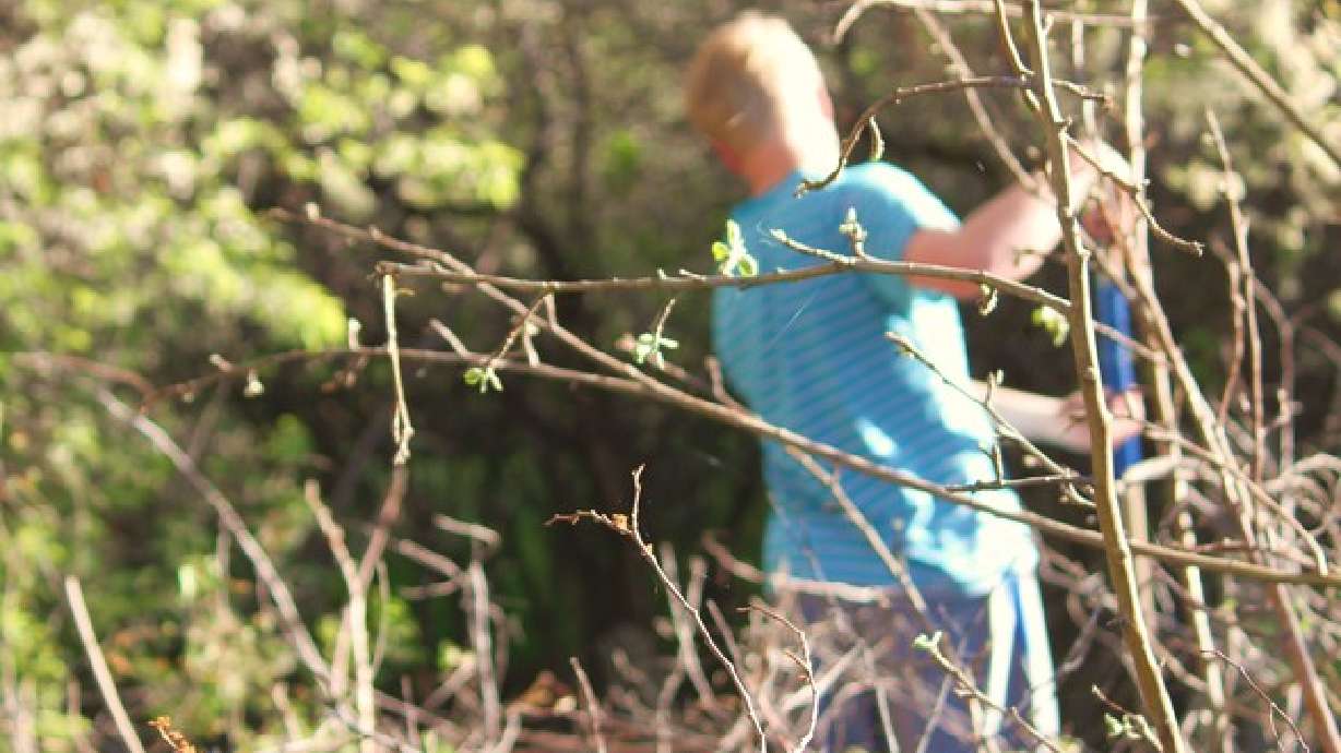 Dad's guide to all things baby shower, part 2