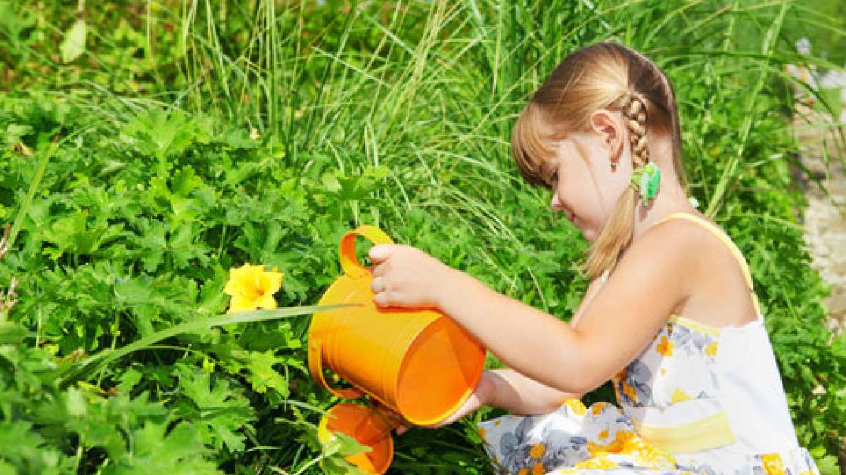 7 steps to involve your children with gardening