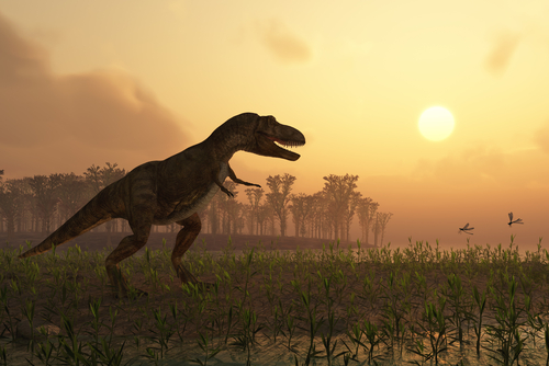 Asteroid may not have been cause of dinosaurs' extinction