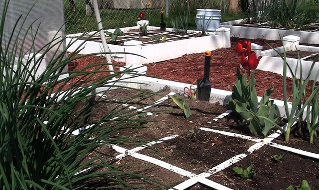 Square foot gardening makes the task a joy