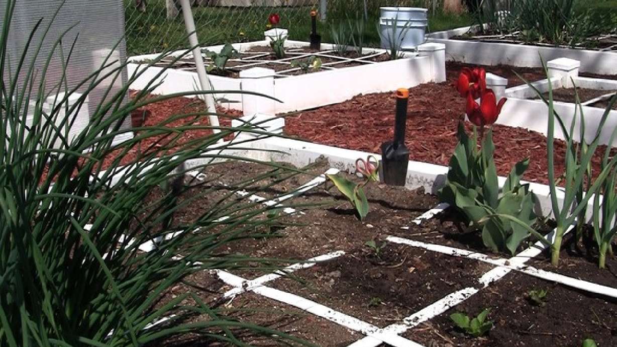 Square foot gardening makes the task a joy