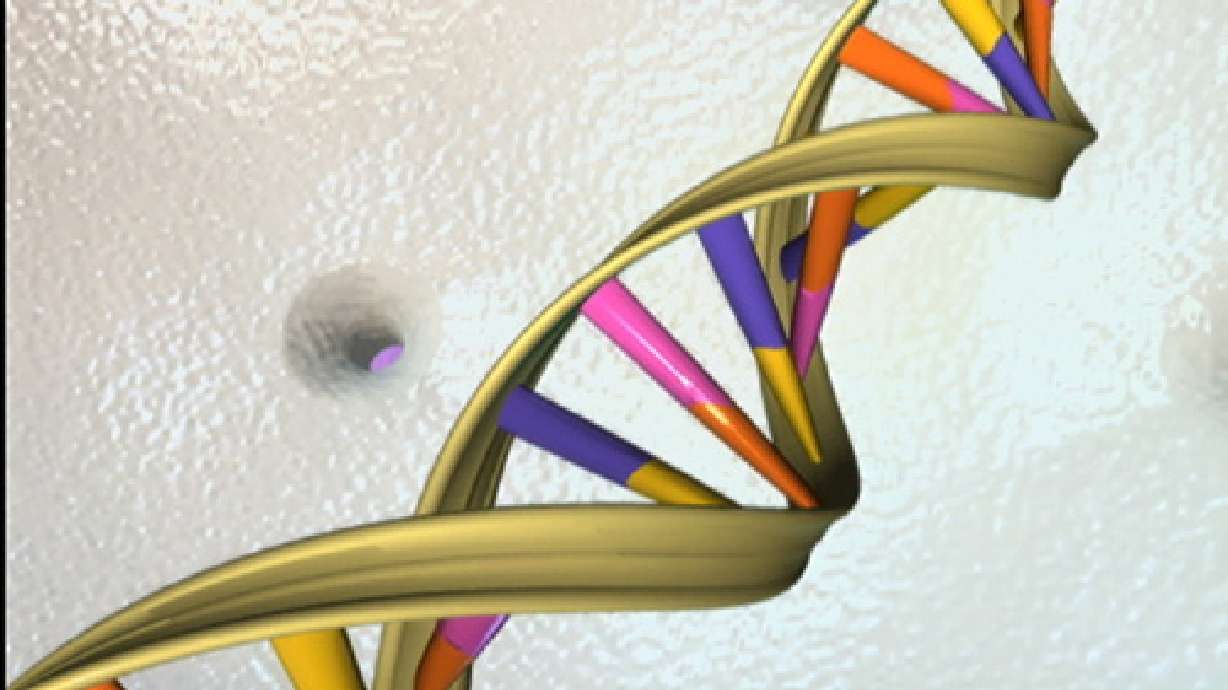 DNA mistake may be what made humans smart