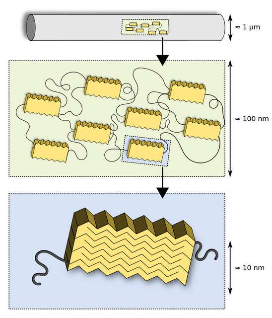 This image shows the internal structure of silk, with solid blocks of glycine and alanine separated by amorphous protein, creating a very strong structure.