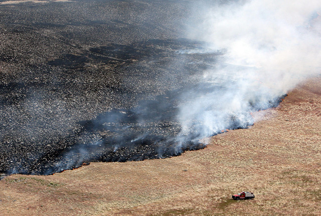 Overhead Electric Lines for Trucks Are Coming to California [Video]