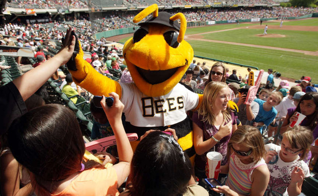 Local happenings from a day with the Bees to scholarships for cancer survivors