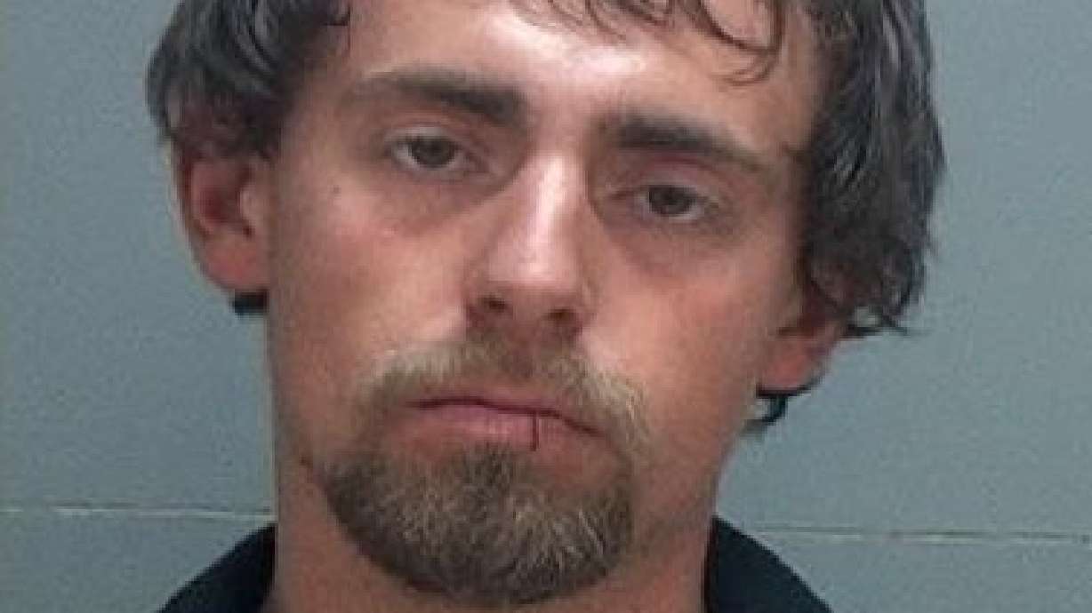 Pit bull allegedly ordered to attack man in wheelchair, owner arrested