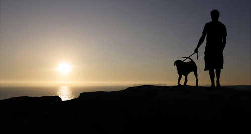 Dogs may have helped humans win evolutionary battle