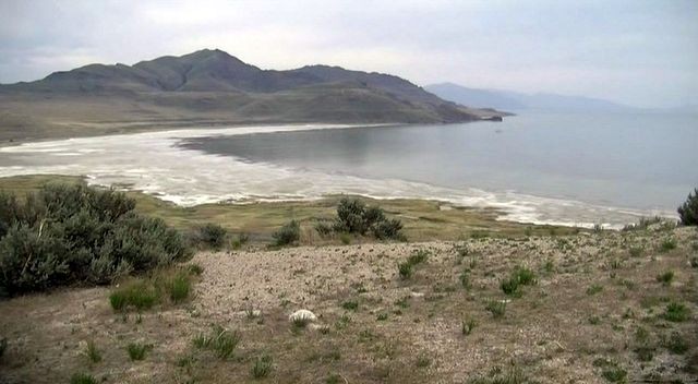 The hidden wonders of Antelope Island