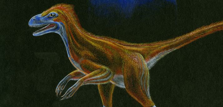 Utah paleontologists discover three new raptor species