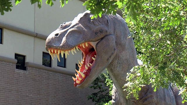 Ogden is awesome, see for yourself