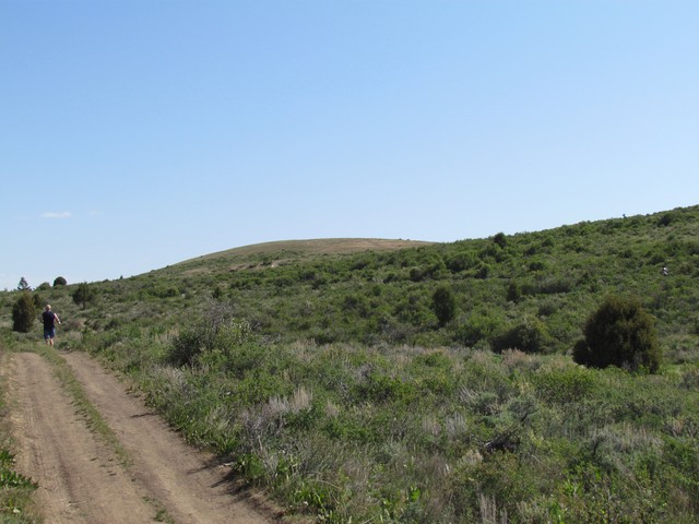 A runner enjoys the scenic beauty of the Bear Lake Monster Half
Marathon, held over the Memorial Day weekend. (Photo: Extra Mile
Racing)