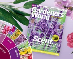 Scratch-And-Sniff Gardening Magazine Cover Smells Like Real Flowers