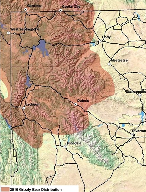 Will 2012 bring another summer of increased grizzly bear attacks?