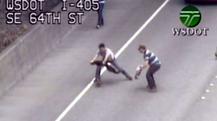 VIDEO: Ducklings rescued from busy interstate