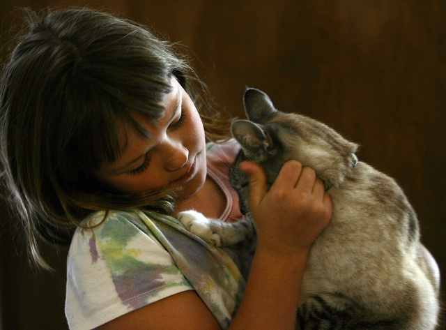 Elise Runnels spends a moment with a family cat, Jane, at their home in Salt Lake City Monday, June 11, 2012. The family will leave next week to volunteer on a medical "Mercy Ship" in western Africa.