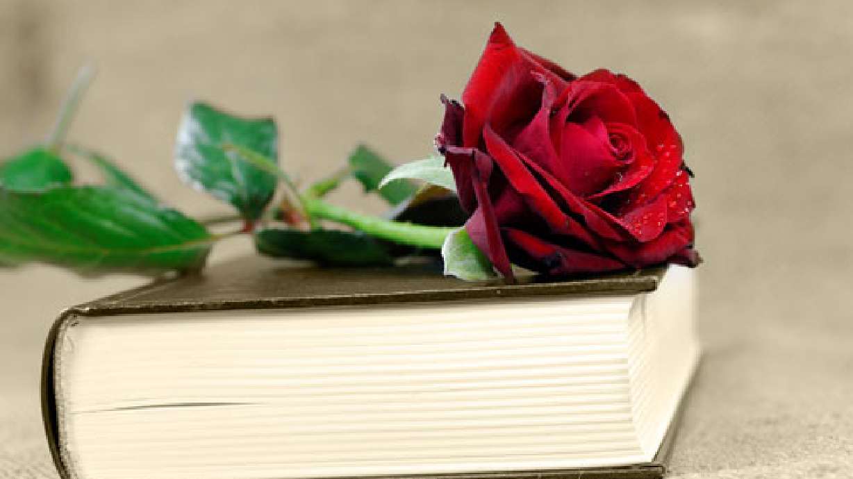 Waiting for Mr. Darcy: the rise of chick-lit