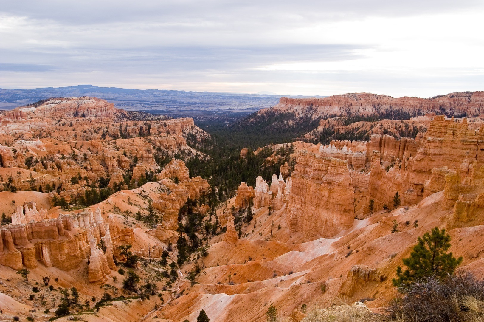 Coronavirus updates: Bryce Canyon National Park to close indefinitely