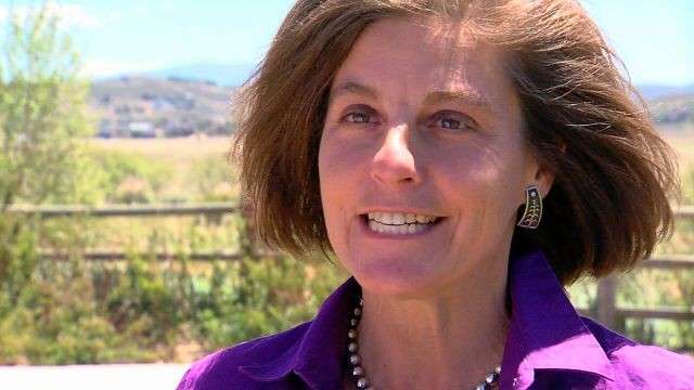 Donna McAleer will face off against Ryan Combe June 26 in an attempt to secure the Democratic nomination in the race for Utah's 1st Congressional District.