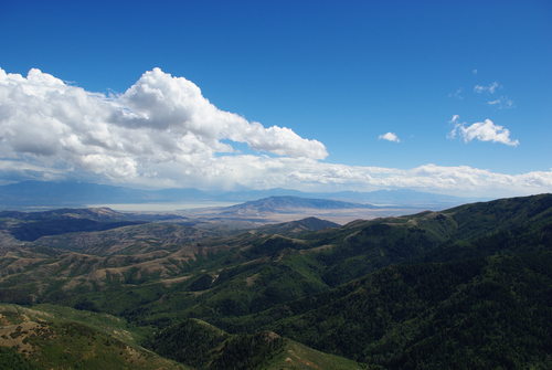 the 14th Annual Tooele Valley Spring Garden Tour!