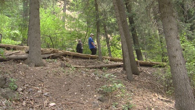 Many options in future of Timpanogos Cave