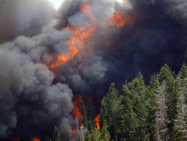 Brush fire in American Fork Canyon contained