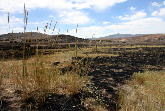 Heat, wind, and no rain just part of a recipe for wildfire disaster