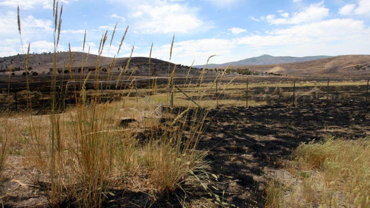 Heat, wind, and no rain just part of a recipe for wildfire disaster