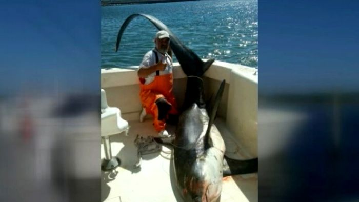 Catch of a lifetime: fishermen catch 13-foot shark