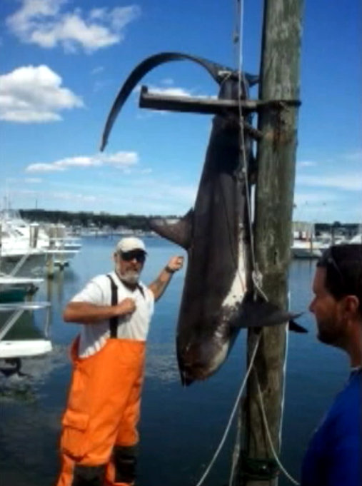Catch of a lifetime: fishermen catch 13-foot shark