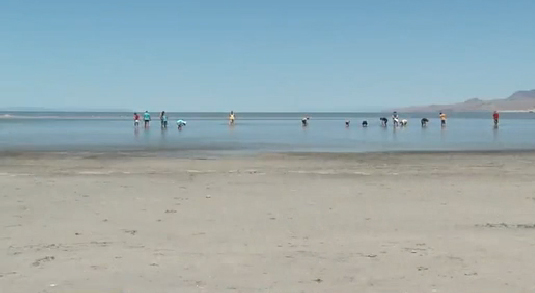 Camp for Kids: Learning about the Great Salt Lake