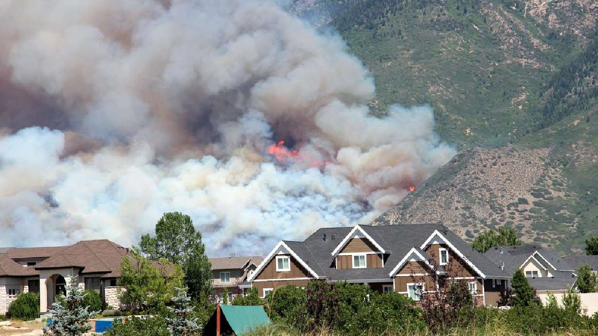 Study challenges views about Western forest fires