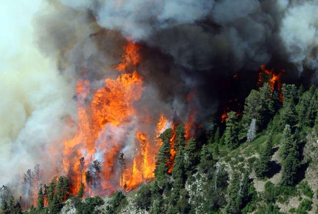 Crews work to stop the Quail Fire burning in Alpine Tuesday, July 3, 2012. (Photo: Scott G Winterton, Deseret News)