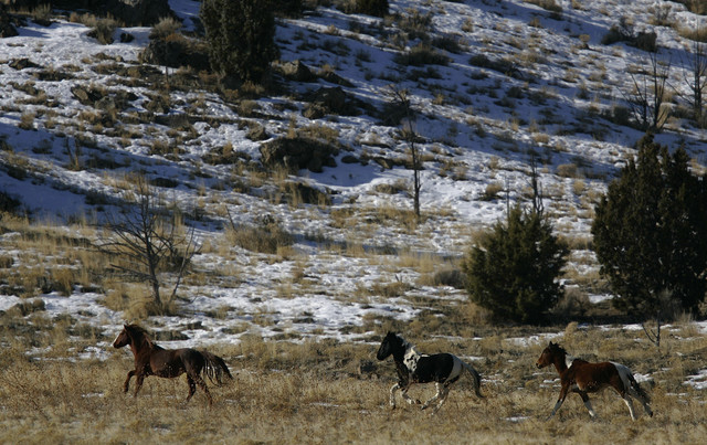 Pony Express landmark, wild horse habitat part of proposed land exchange