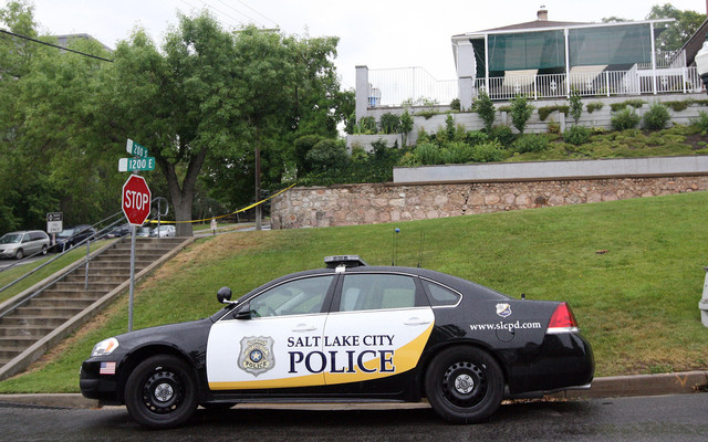 Police investigate stabbing of attorney