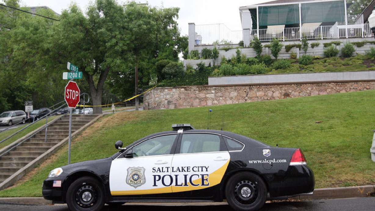 Police investigate stabbing of attorney