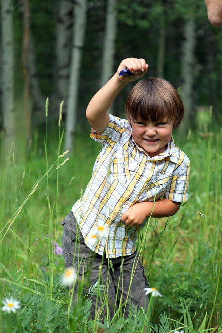 4-year-old boy dies after headstone falls on him