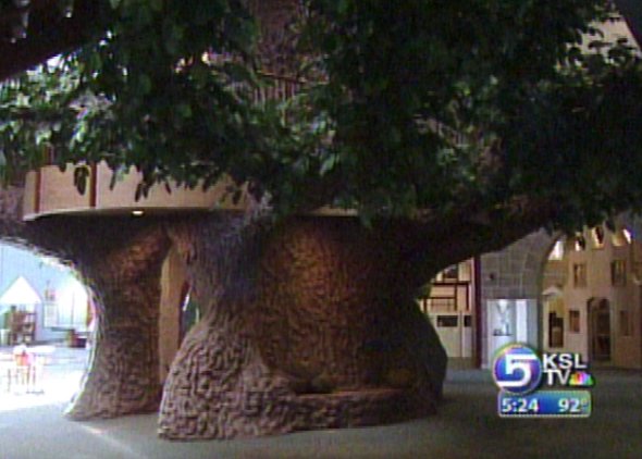 Treehouse Museum Gets Home of Its Own