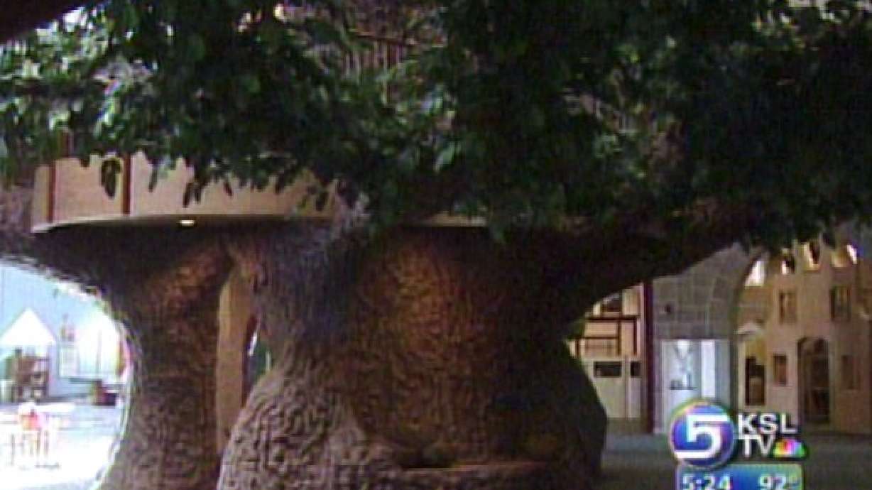 Treehouse Museum Gets Home of Its Own