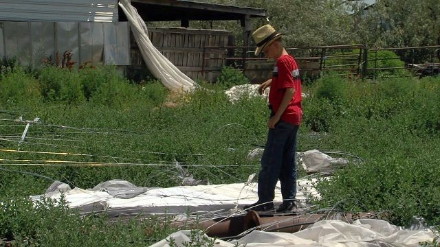 Community farms come with risk of failure