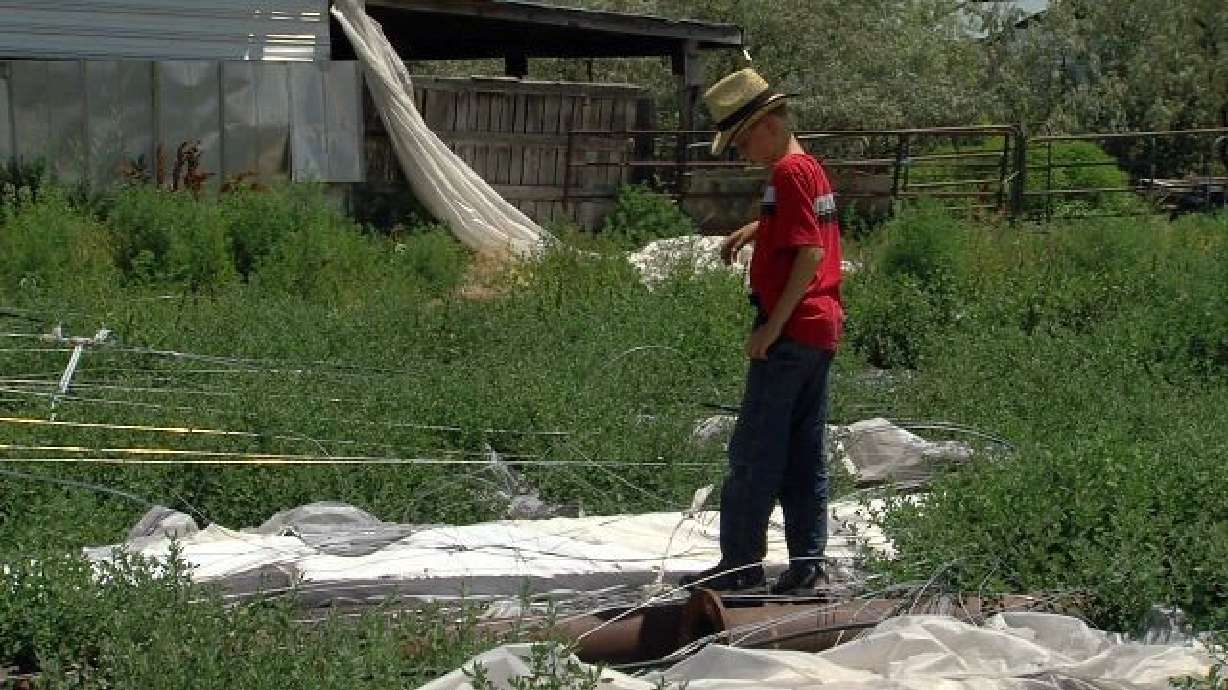 Community farms come with risk of failure