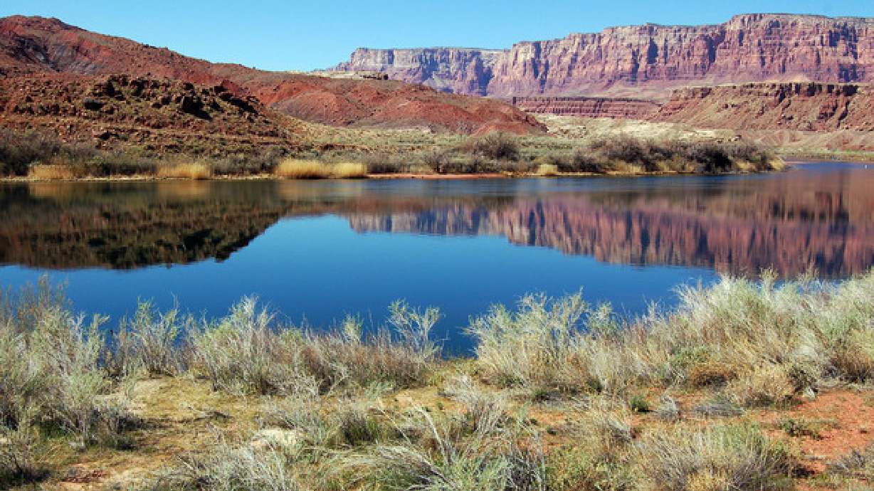 Colorado River study delayed as drought grips U.S.