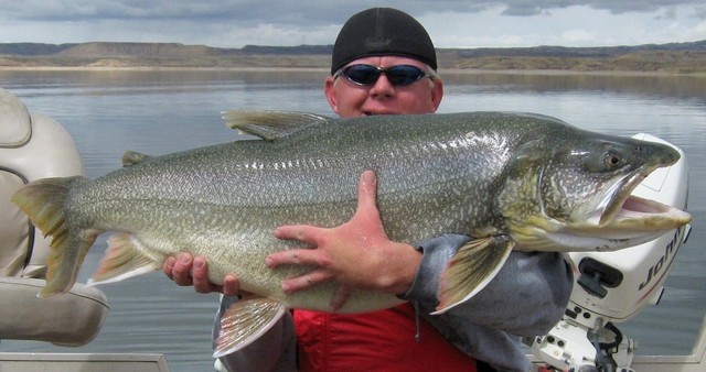 Lake monsters: Utah’s record-breaking trout