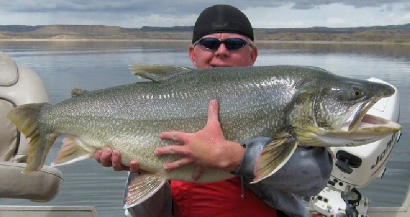Lake monsters: Utah’s record-breaking trout | KSL.com Lake monsters: Utah’s record-breaking trout | KSL.com