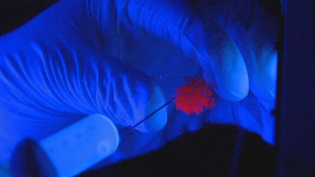 A glowing red clump of nano-fibers is the key. When they detect the presence of meth, they stop glowing.
