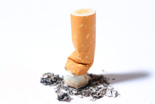 best tobacco pouches The Best Nicotine Pouches - Shop best tobacco pouches The Best Nicotine Pouches - Shop