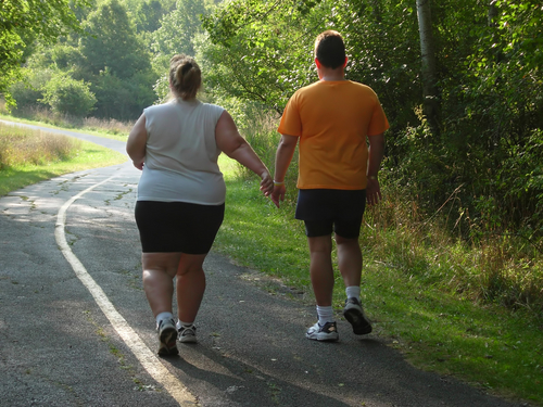 Local happenings: Walk-a-thon, kite flying and 'Stuff the Bus'