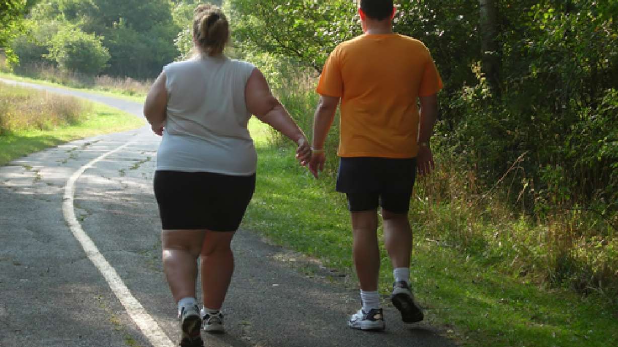 Local happenings: Walk-a-thon, kite flying and 'Stuff the Bus'