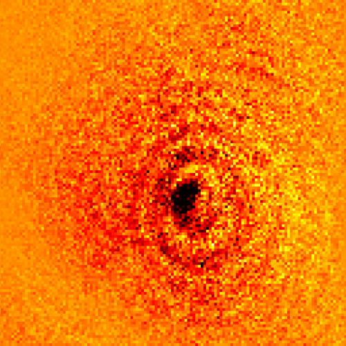 This image is the first of it's kind - the shadow of a single atom.